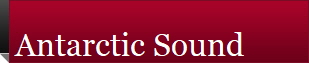 Antarctic Sound