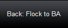 Back: Flock to BA