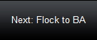 Next: Flock to BA
