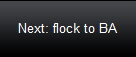 Next: flock to BA