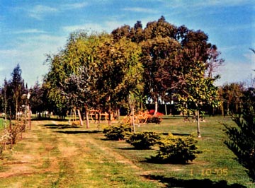 estancia-momentos-03