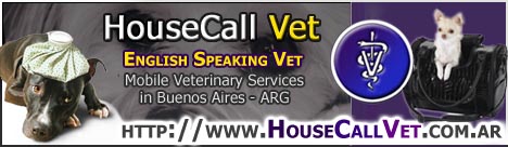 housecallvet-banner-468