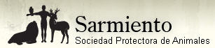 protectorasarmiento.org.ar