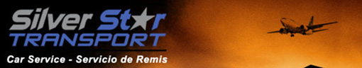 silverstarcar1