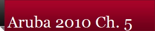 Aruba 2010 Ch. 5