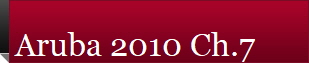 Aruba 2010 Ch.7