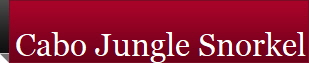 Cabo Jungle Snorkel 