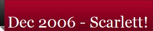 Dec 2006 - Scarlett!