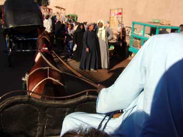 Egypt-2005-037