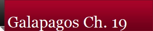 Galapagos Ch. 19