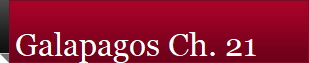 Galapagos Ch. 21