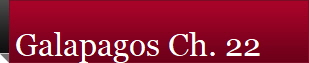Galapagos Ch. 22
