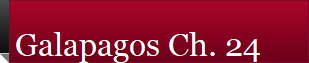 Galapagos Ch. 24