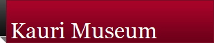 Kauri Museum