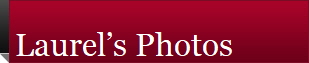 Laurel�s Photos