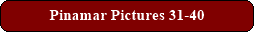 Pinamar Pictures 31-40