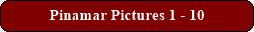 Pinamar Pictures 1 - 10