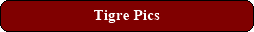 Tigre Pics