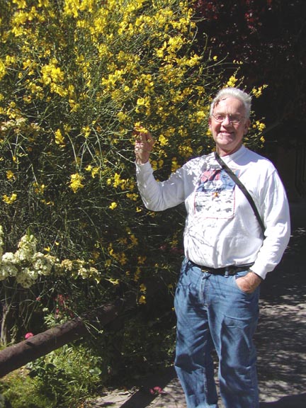 PuertoMadryn-Oct-2003-023-RonYellowFlowers