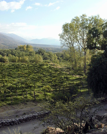 Salta-Apr-03-Pete-003