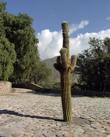 Salta-Apr-03-Pete-007