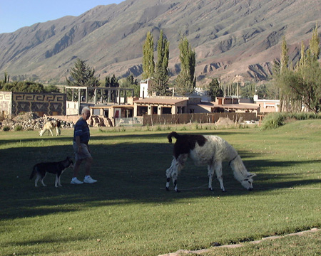 Salta-Apr-03-Pete-063