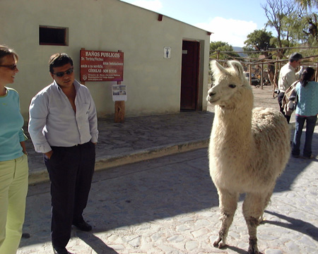 Salta-Apr-03-Pete-093