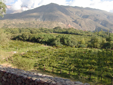 Salta-Apr-03-Ron-015