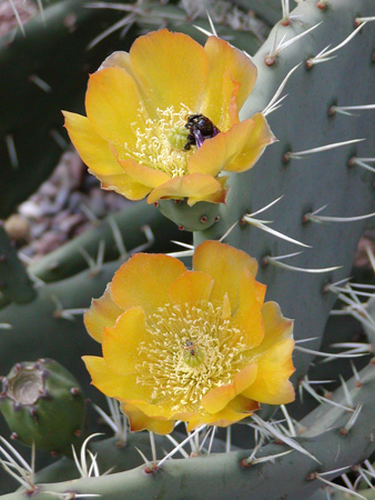 Salta-Apr-03-Ron-048