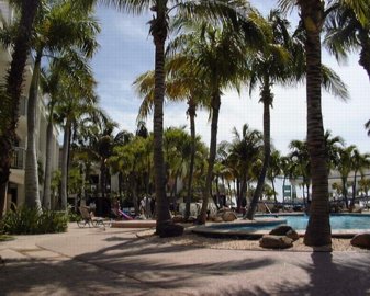 08-04-aruba-21