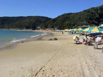 Buzios-Jun-2005-17-Tartaruga