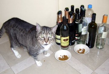 01-jan-06-pej-newyears-25