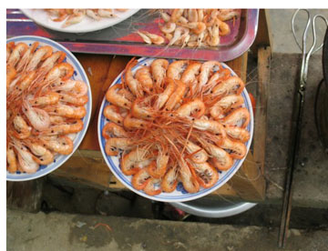 Ron-China-June-2007-0573