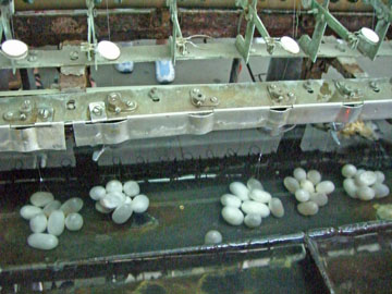 pej-China-June-2007-0756