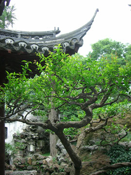 pej-China-June-2007-0861