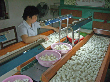 pej-China-June-2007-0754