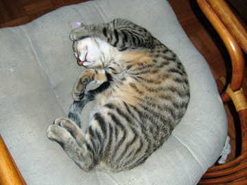 Ralf-Jason-Sept-2009-19