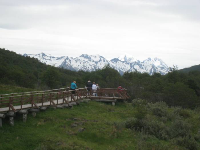 ron-antartica-2008-01-21