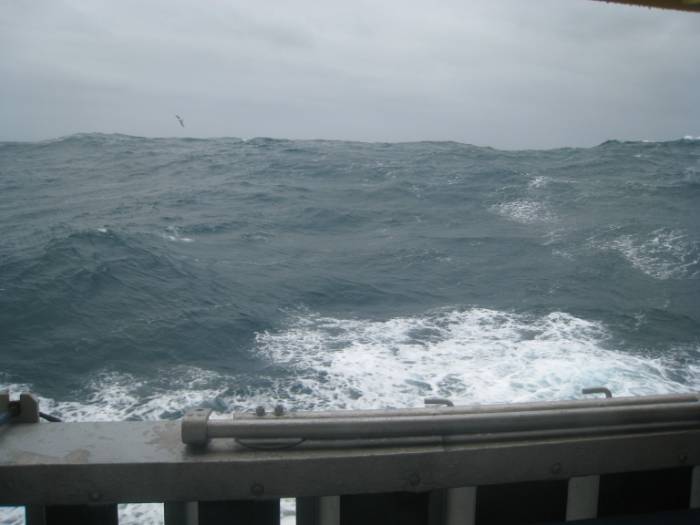 ron-antartica-2008-02-03