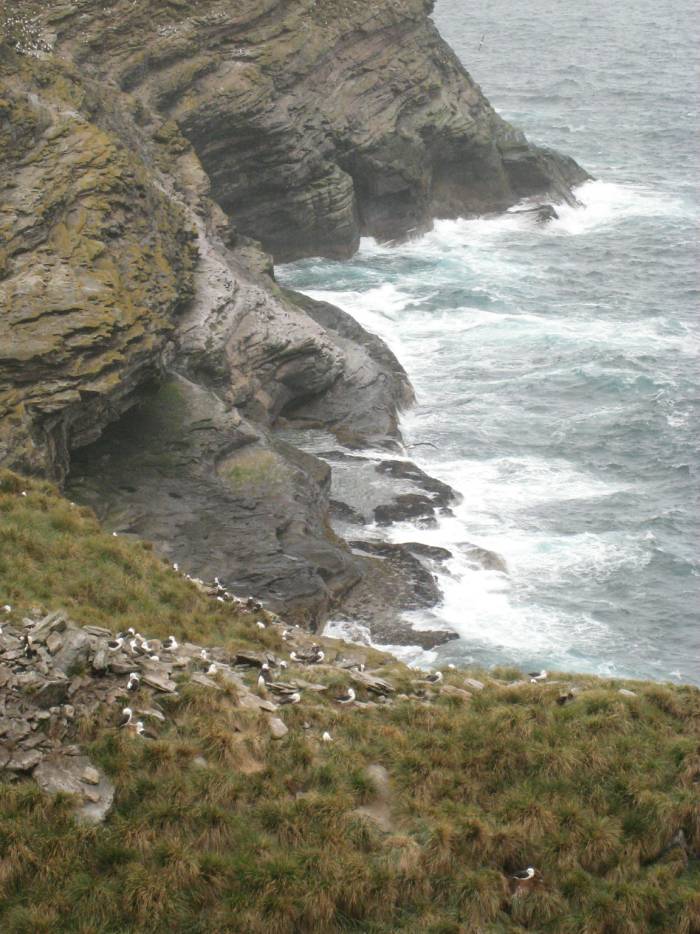 ron-antartica-2008-02-19