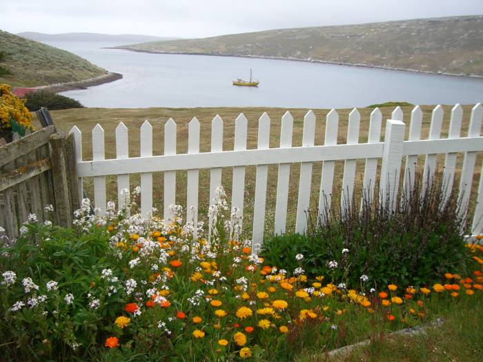 ron-antartica-2008-02-29