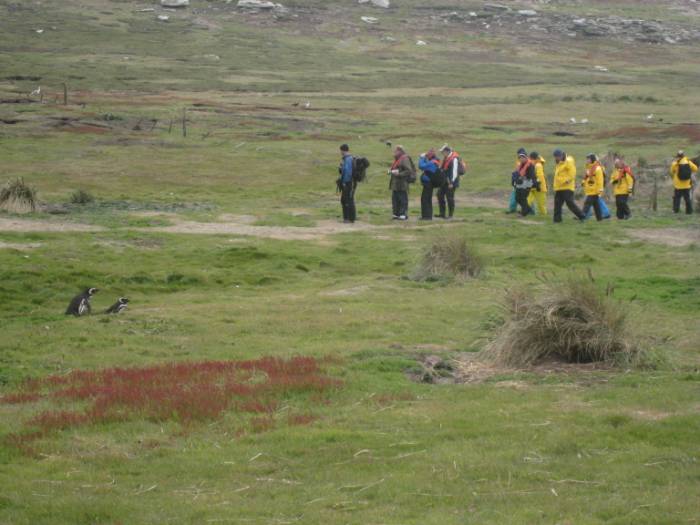 ron-antartica-2008-02-33