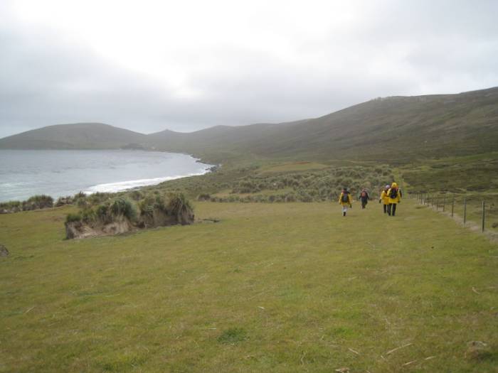 ron-antartica-2008-02-37