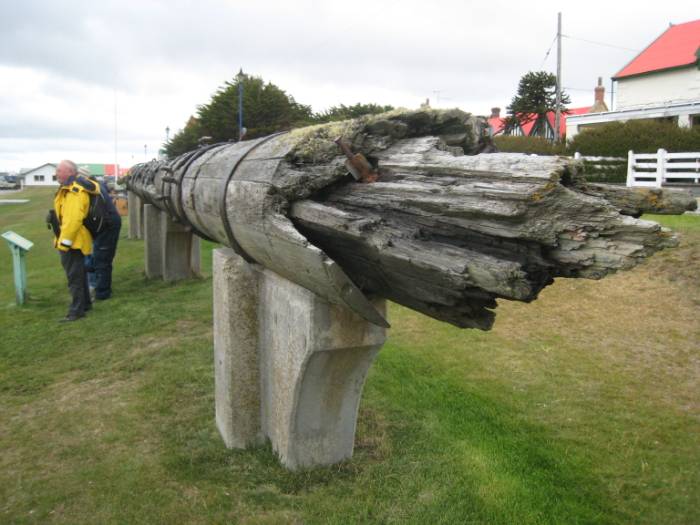 ron-antartica-2008-03-14