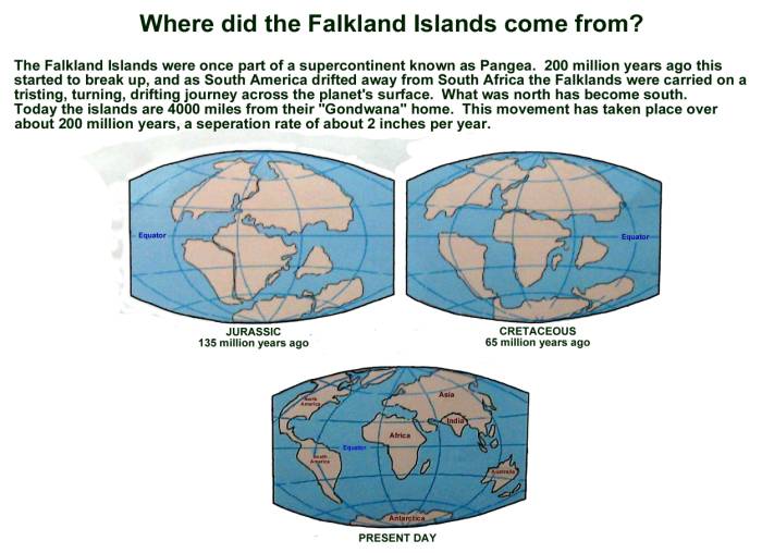 ron-antartica-2008-04-01