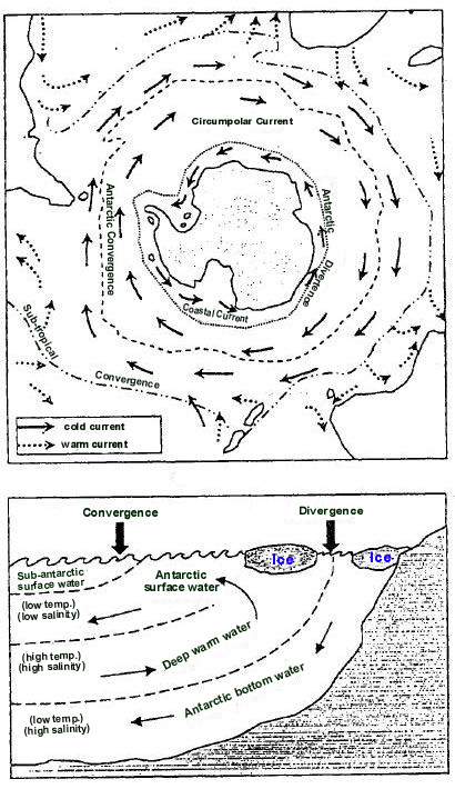 ron-antartica-2008-04-02