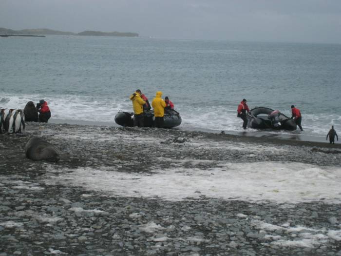 ron-antartica-2008-04-28