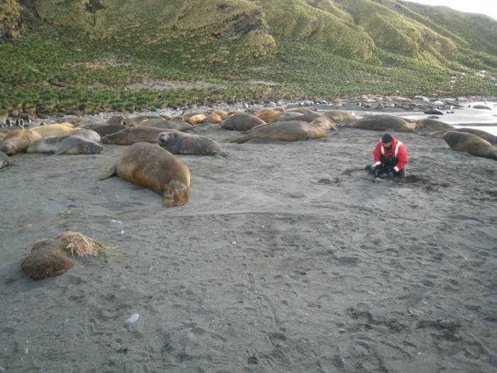 ron-antartica-2008-06-09