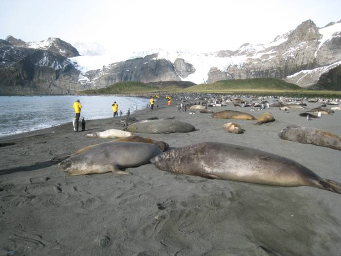 ron-antartica-2008-06-10