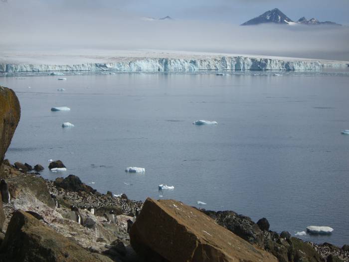 ron-antartica-2008-08-17